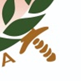 أعضاء مجلس الإدارة